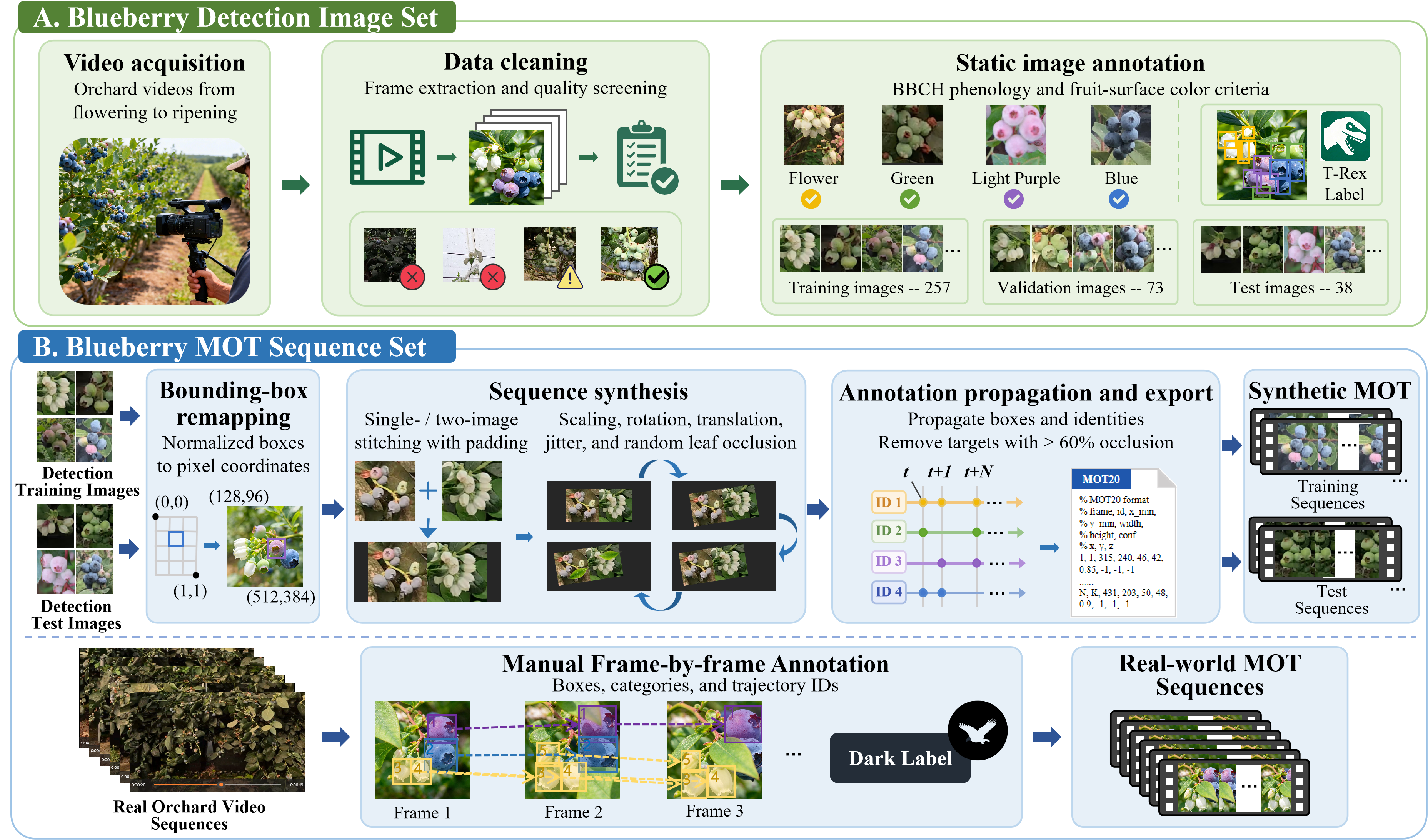 Dataset