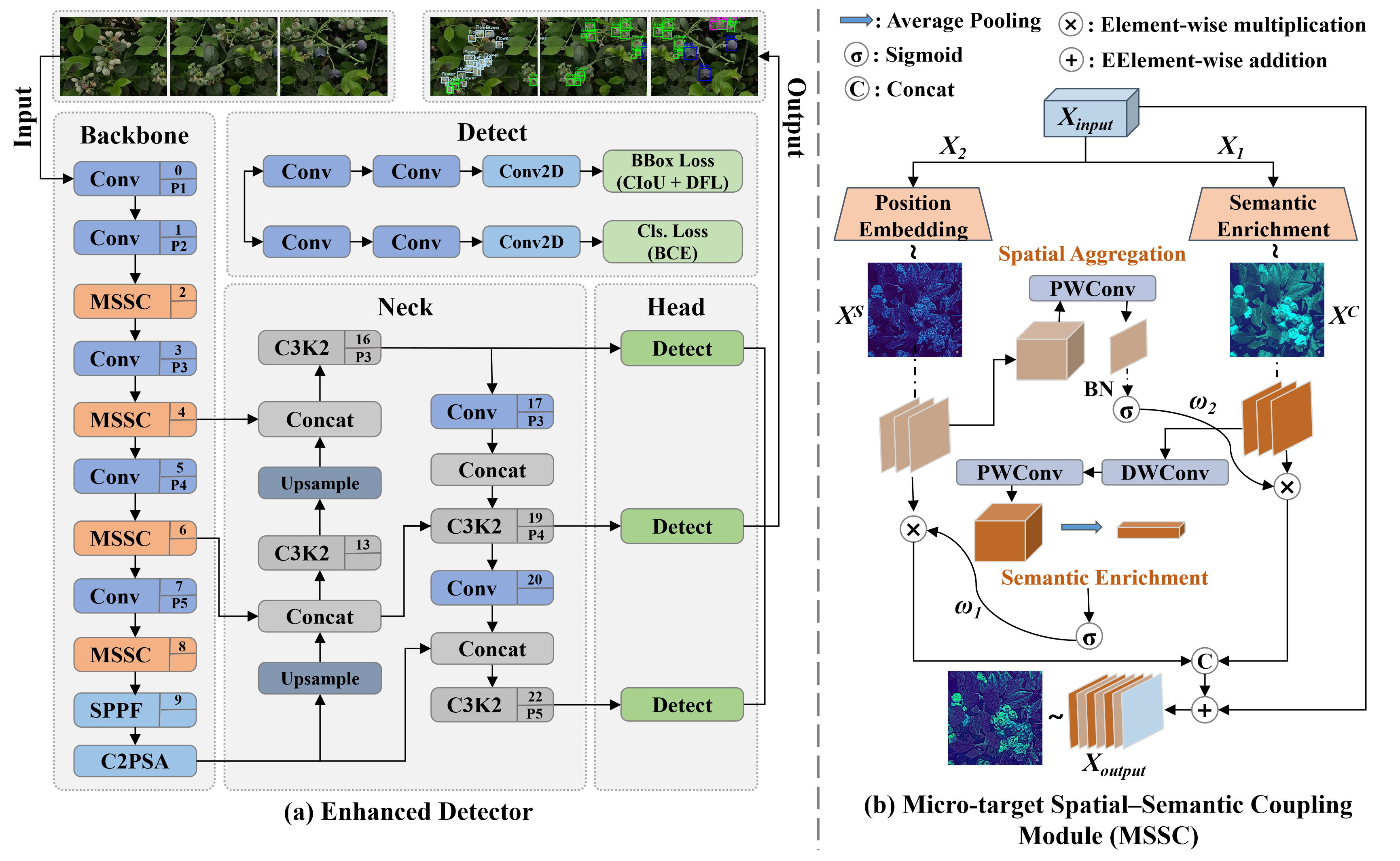Enhanced YOLO11 detector